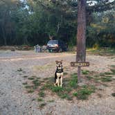 Review photo of Olema Campground by Jordan L., September 9, 2021