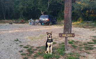 Jordan L.'s photo of camping with pets at Olema Campground near Vineburg, CA
