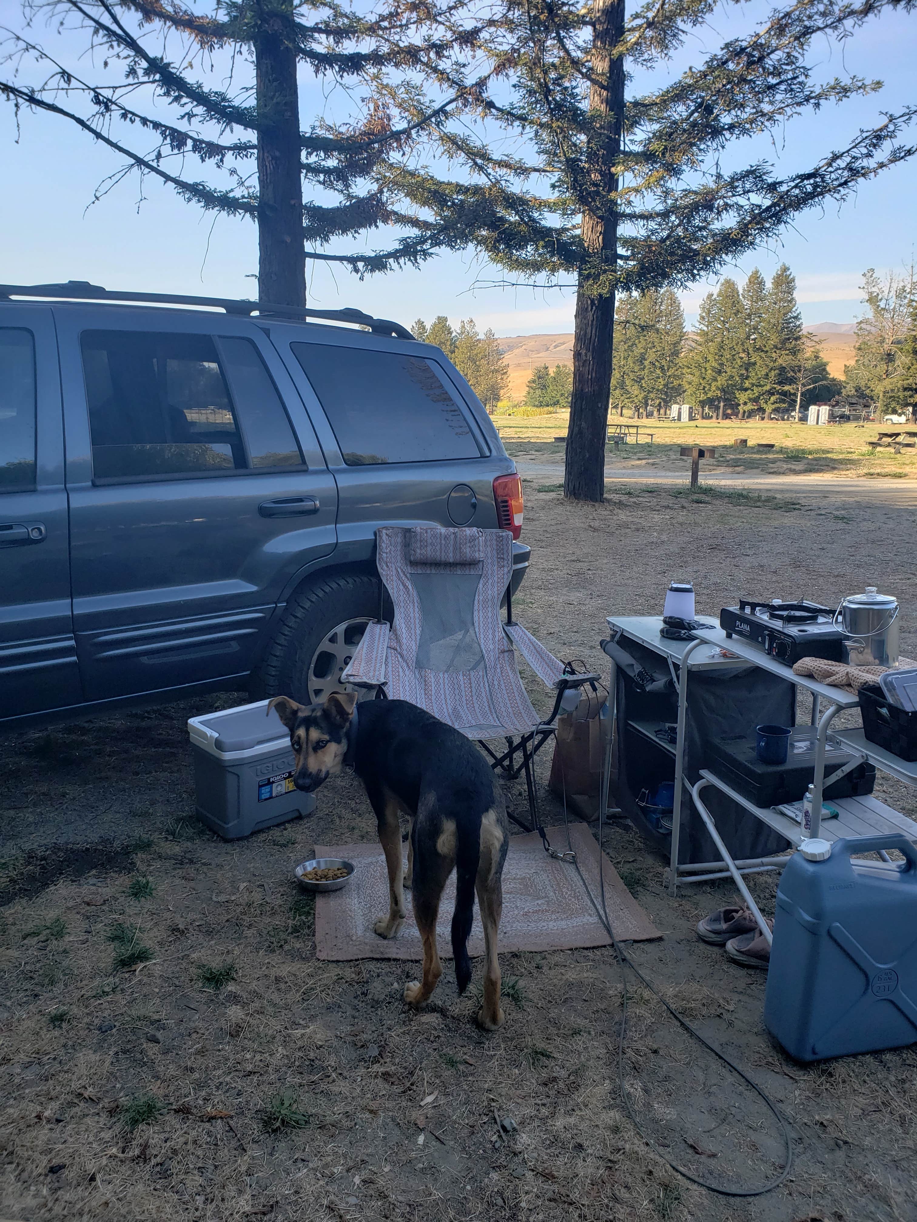 Camper submitted image from Olema Campground - 4