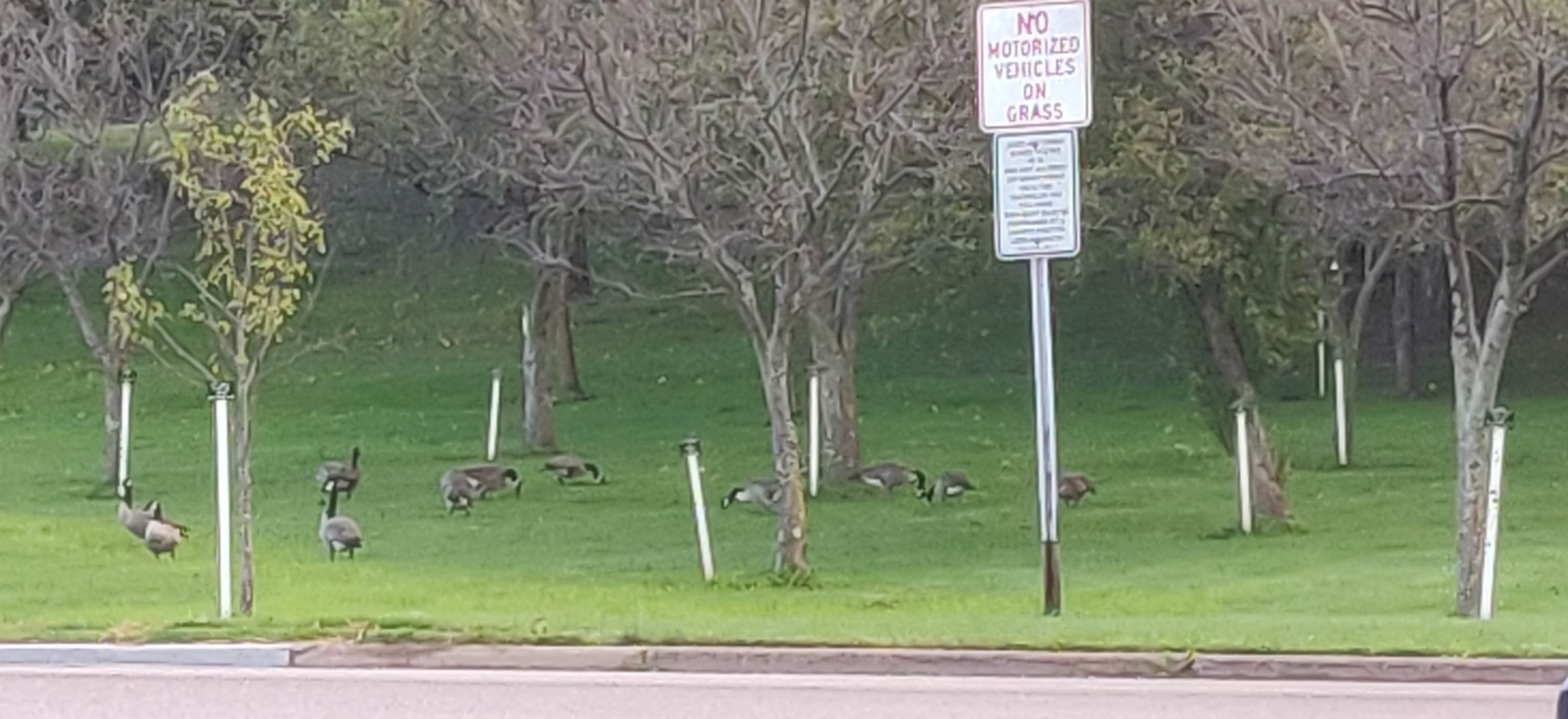 Camper submitted image from Medford City Park - 5