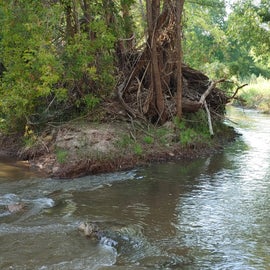 creek behind campground