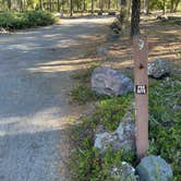 Review photo of McNeil Campground by Wes B., September 9, 2021