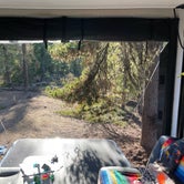 Review photo of McNeil Campground by Wes B., September 9, 2021