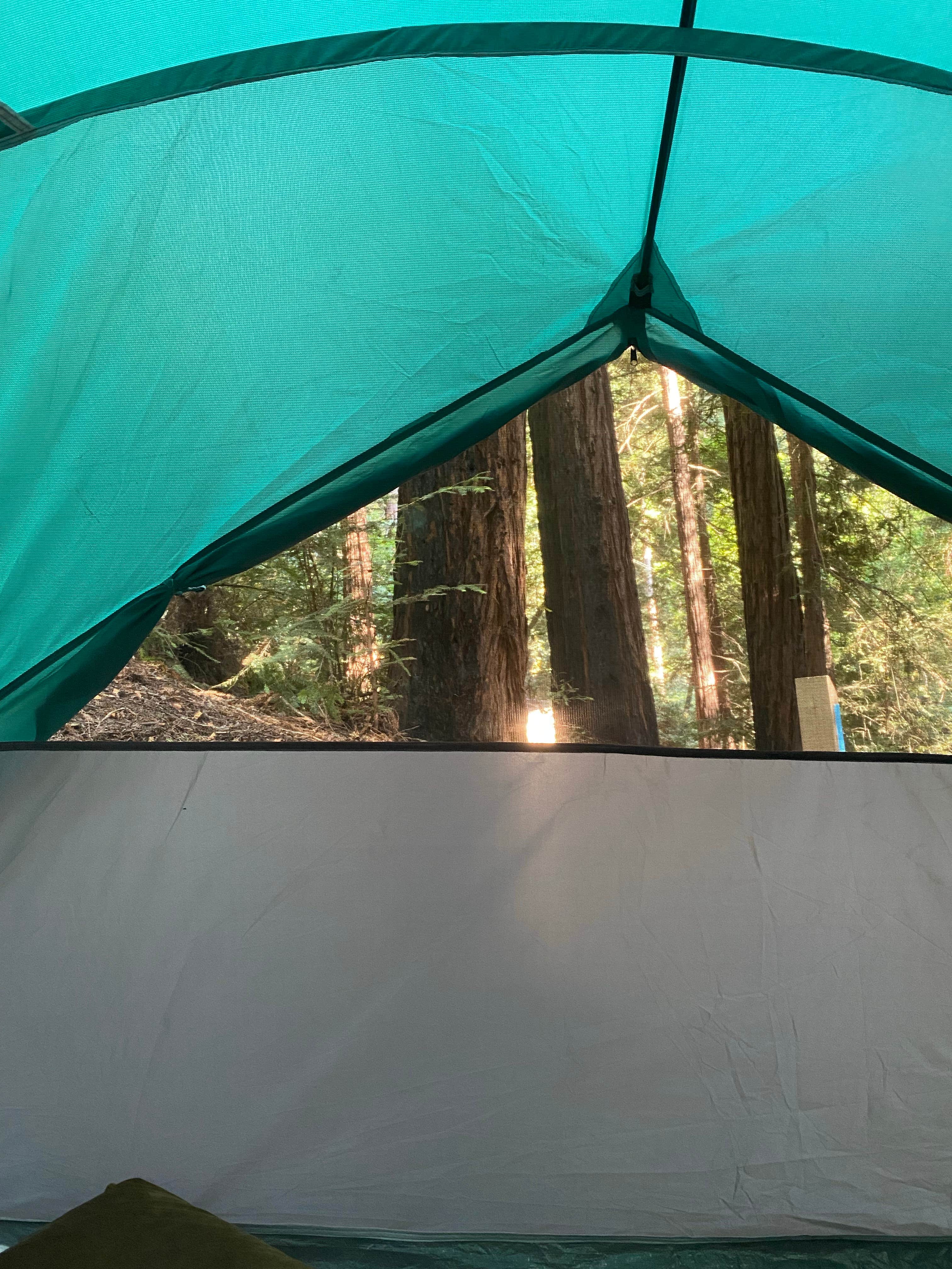Catherine M.'s photo of tent camping at Ventana Campground near Jolon, CA