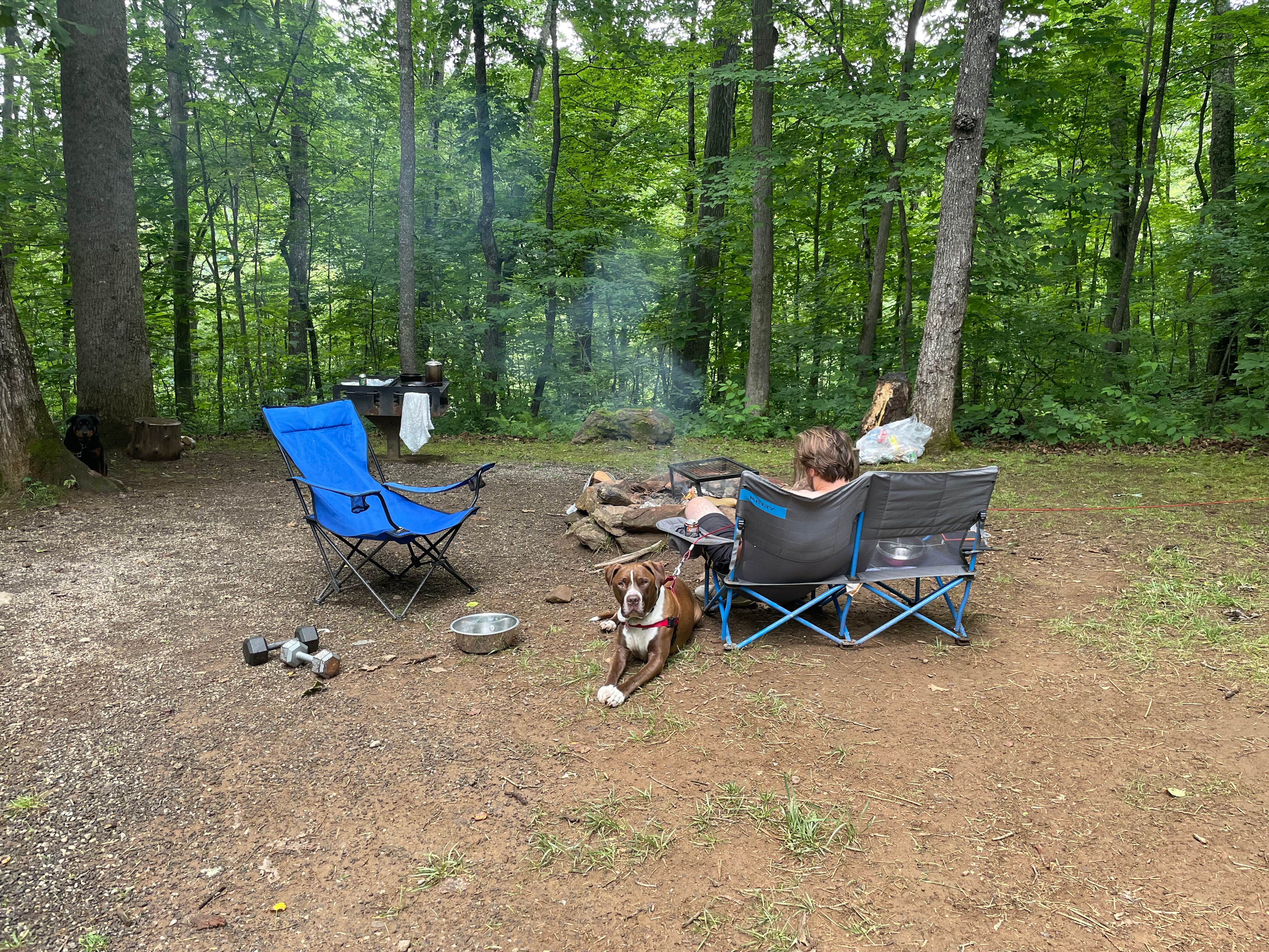 Nicole L.'s photo at Ralph J. Andrews Campground near Cullowhee, NC