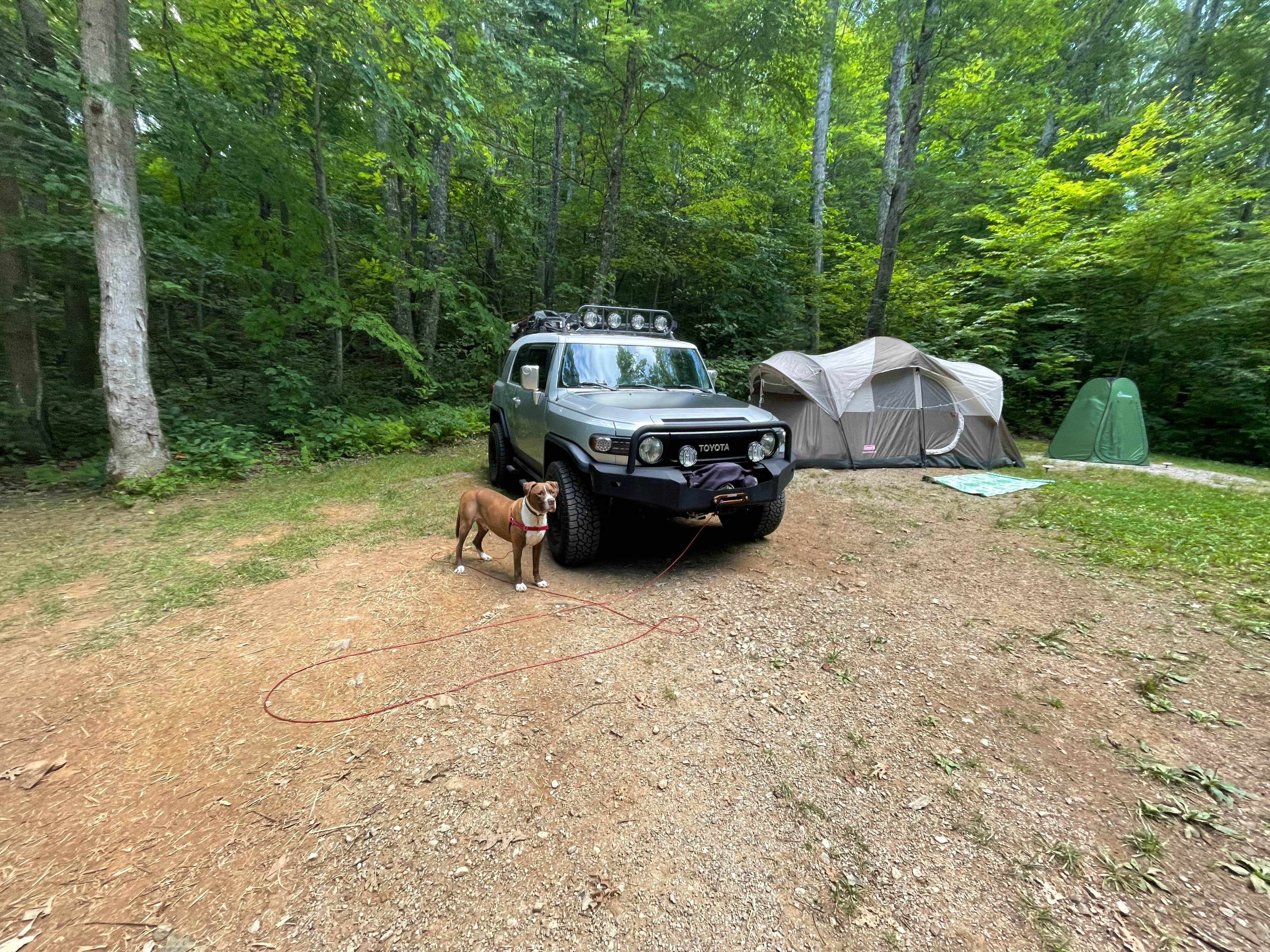 Nicole L.'s photo of camping with pets at Ralph J. Andrews Campground near Cashiers, NC