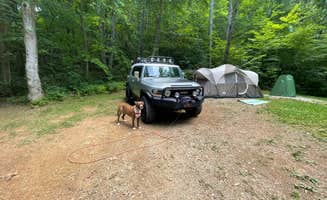 Nicole L.'s photo of camping with pets at Ralph J. Andrews Campground near Cashiers, NC