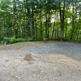 Review photo of Ralph J. Andrews Campground by Nicole L., September 9, 2021