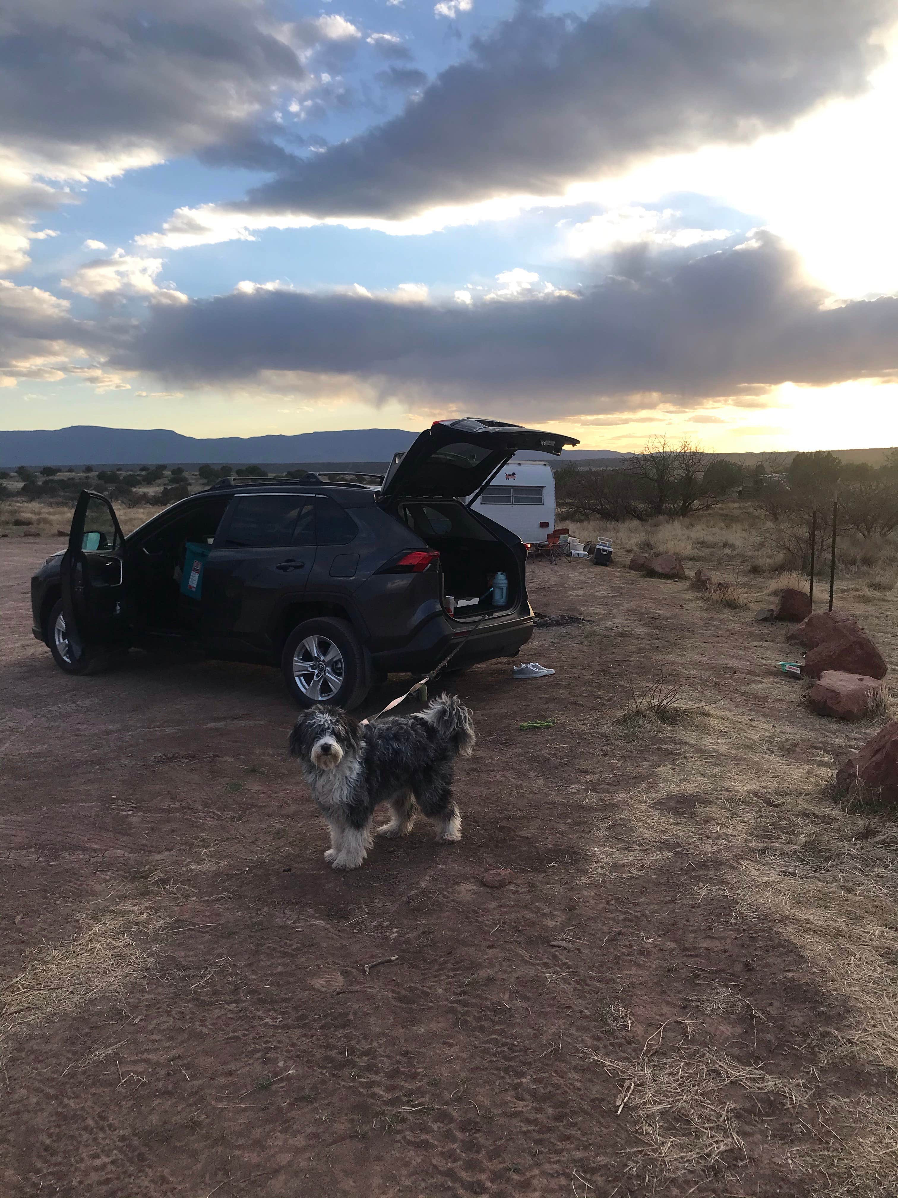 Rachel N.'s photo of camping with pets at West Sedona Designated Dispersed Camping near Cottonwood, AZ