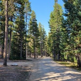 Review photo of Beartrap Meadow County Park by Roger J., September 9, 2021