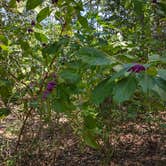 Review photo of Pat Harrison Waterway District Flint Creek Water Park by Lynn W., September 9, 2021