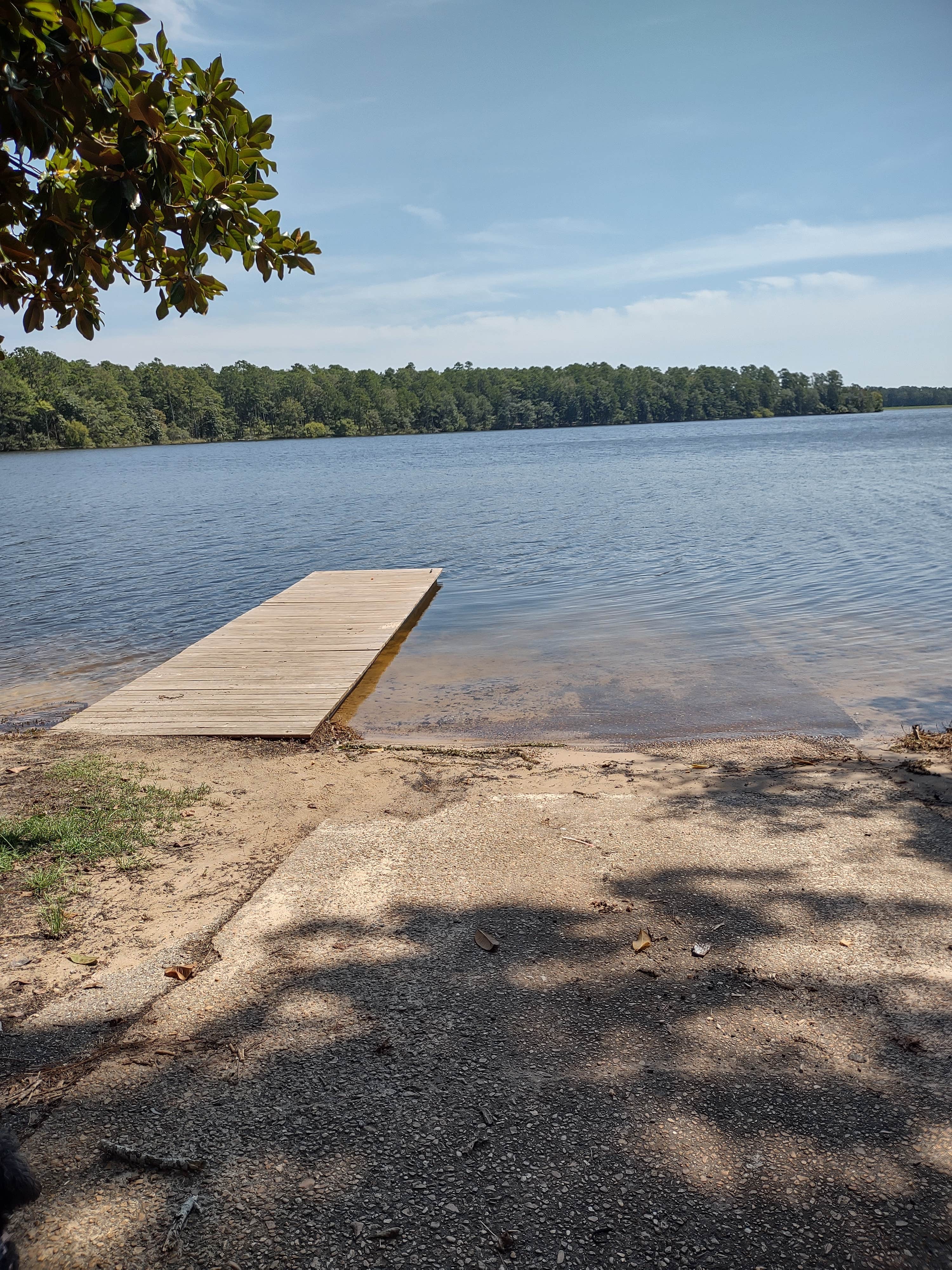 Camper submitted image from Pat Harrison Waterway District Flint Creek Water Park - 5