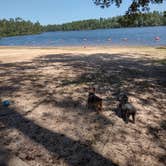 Review photo of Pat Harrison Waterway District Flint Creek Water Park by Lynn W., September 9, 2021