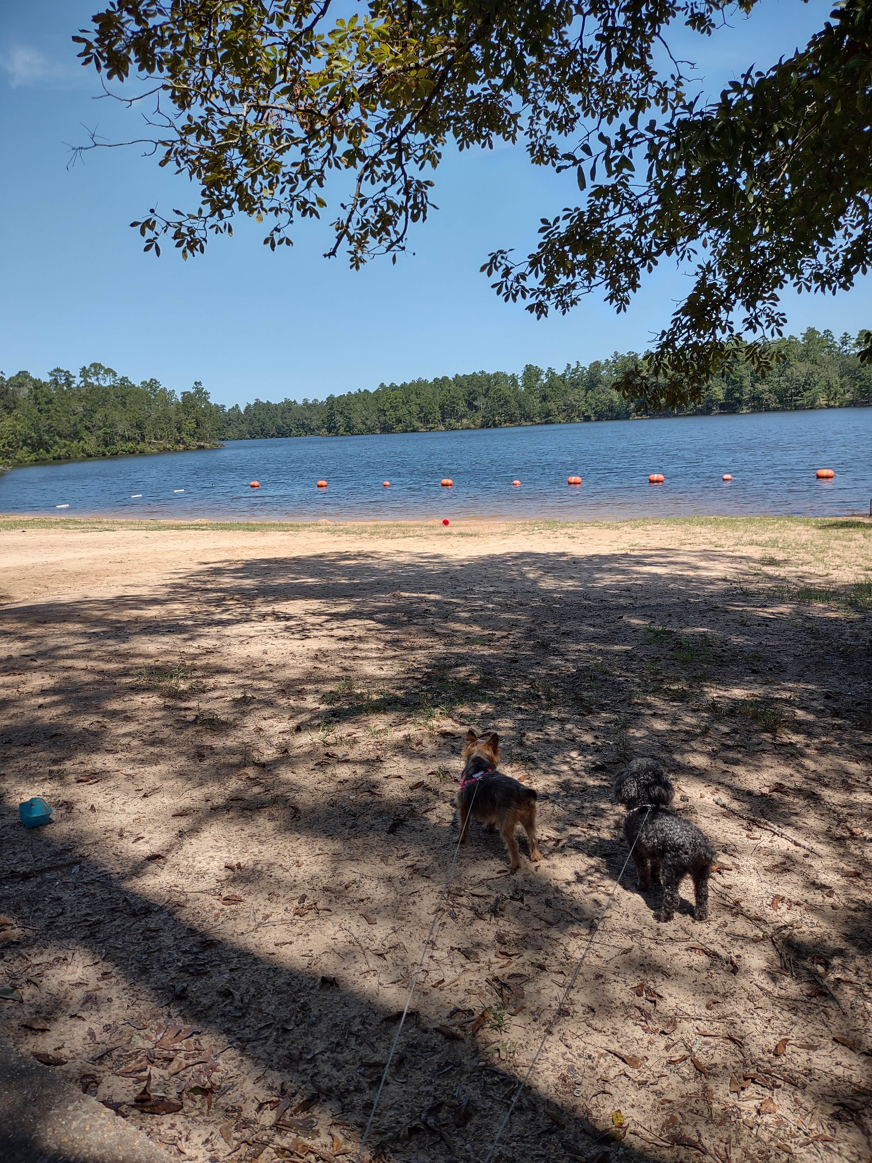 Camper submitted image from Pat Harrison Waterway District Flint Creek Water Park - 4