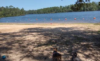 Lynn W.'s photo of camping with pets at Pat Harrison Waterway District Flint Creek Water Park near Gulfport, MS
