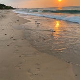 Review photo of Indiana Dunes State Park Campground by Carol J., September 9, 2021