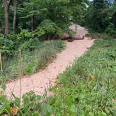 Review photo of Indiana Dunes State Park Campground by Carol J., September 9, 2021