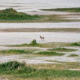 Review photo of Bridger Bay Campground — Antelope Island State Park by Charles W., September 9, 2021