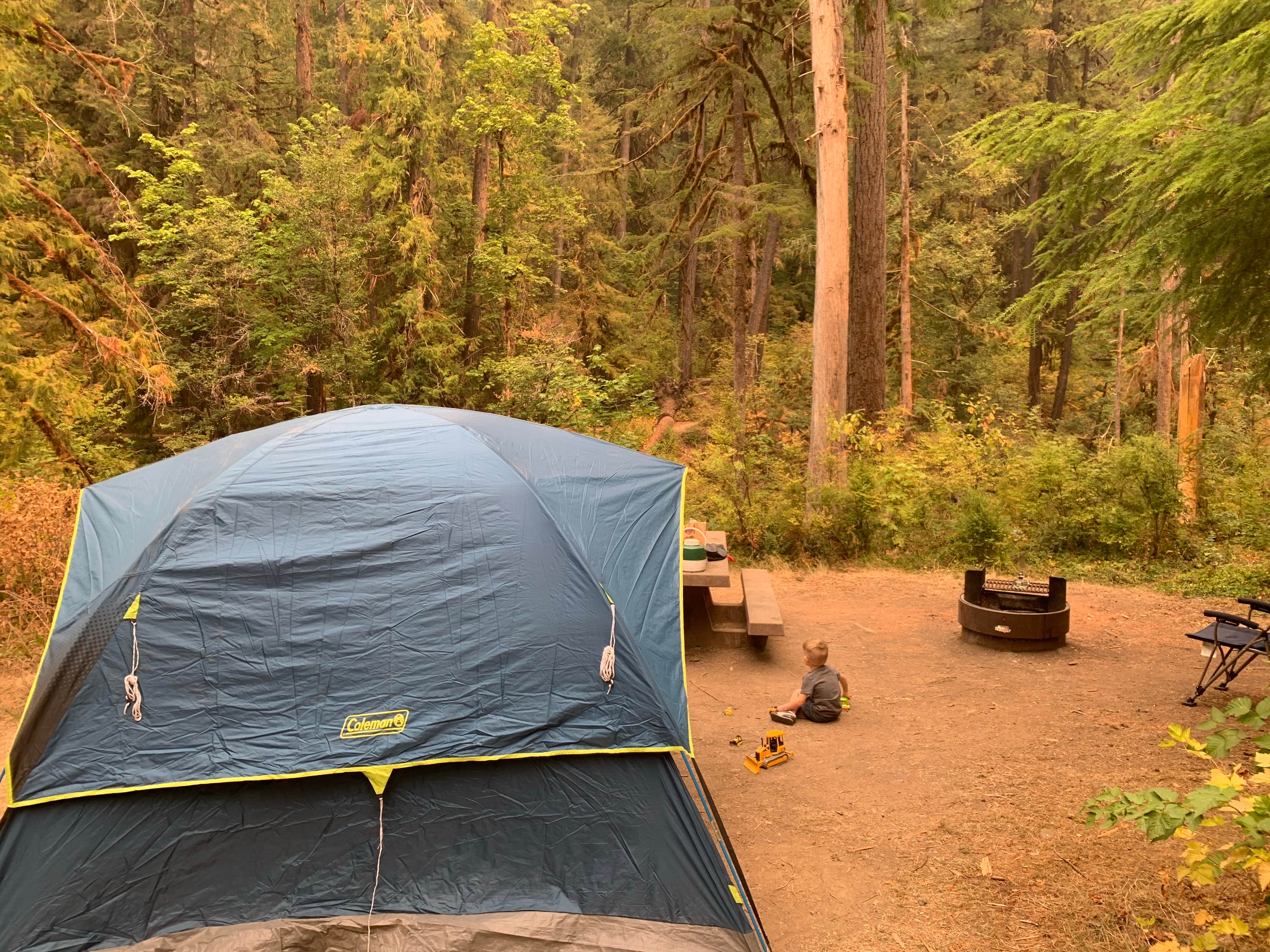 Ryan C.'s photo at Cedar Creek Campground near Cottage Grove, OR