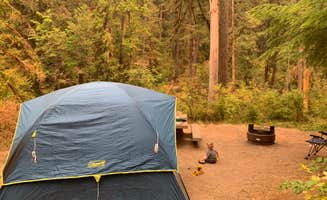 Ryan C.'s photo at Cedar Creek Campground near Dorena Lake