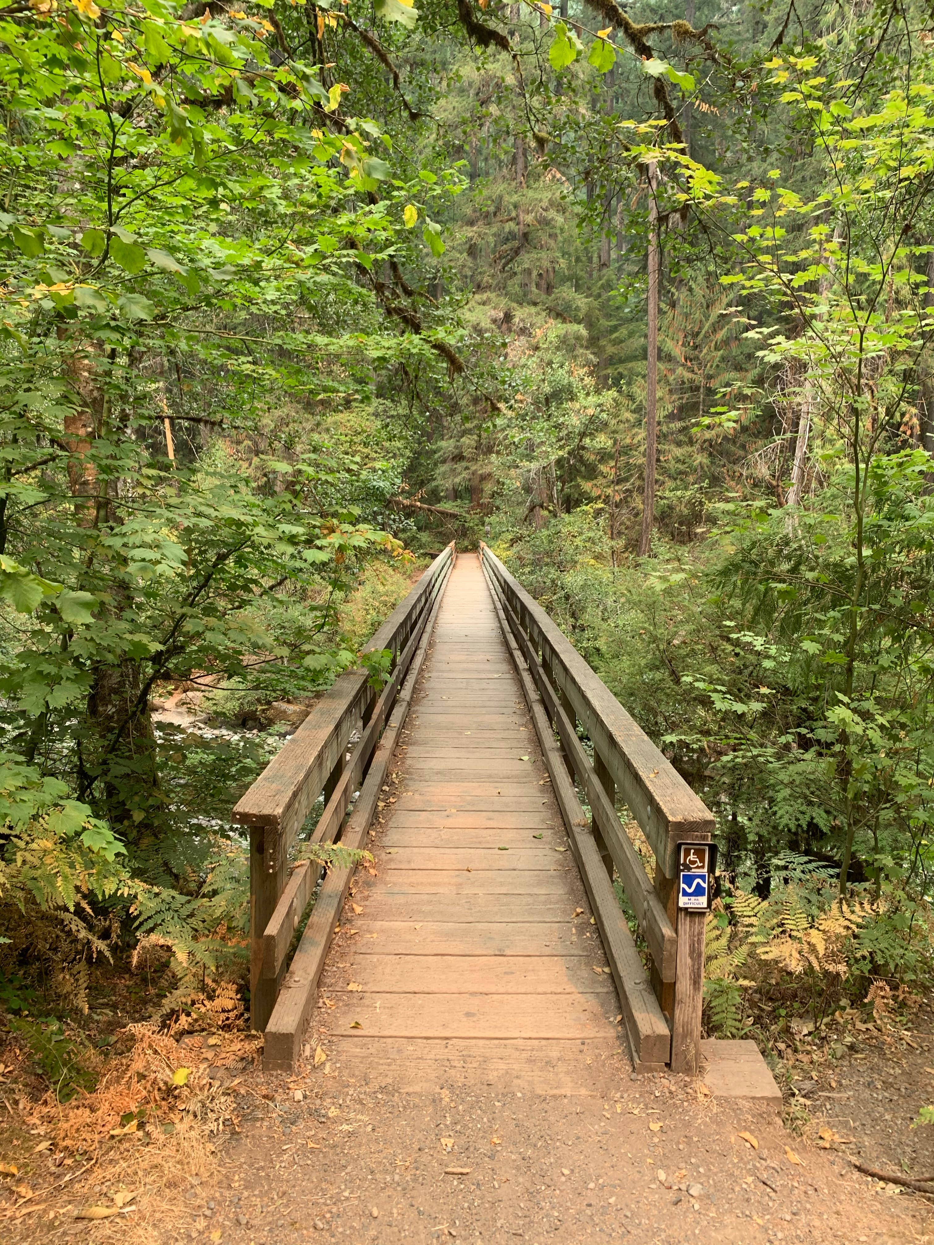Camper submitted image from Cedar Creek Campground - 3