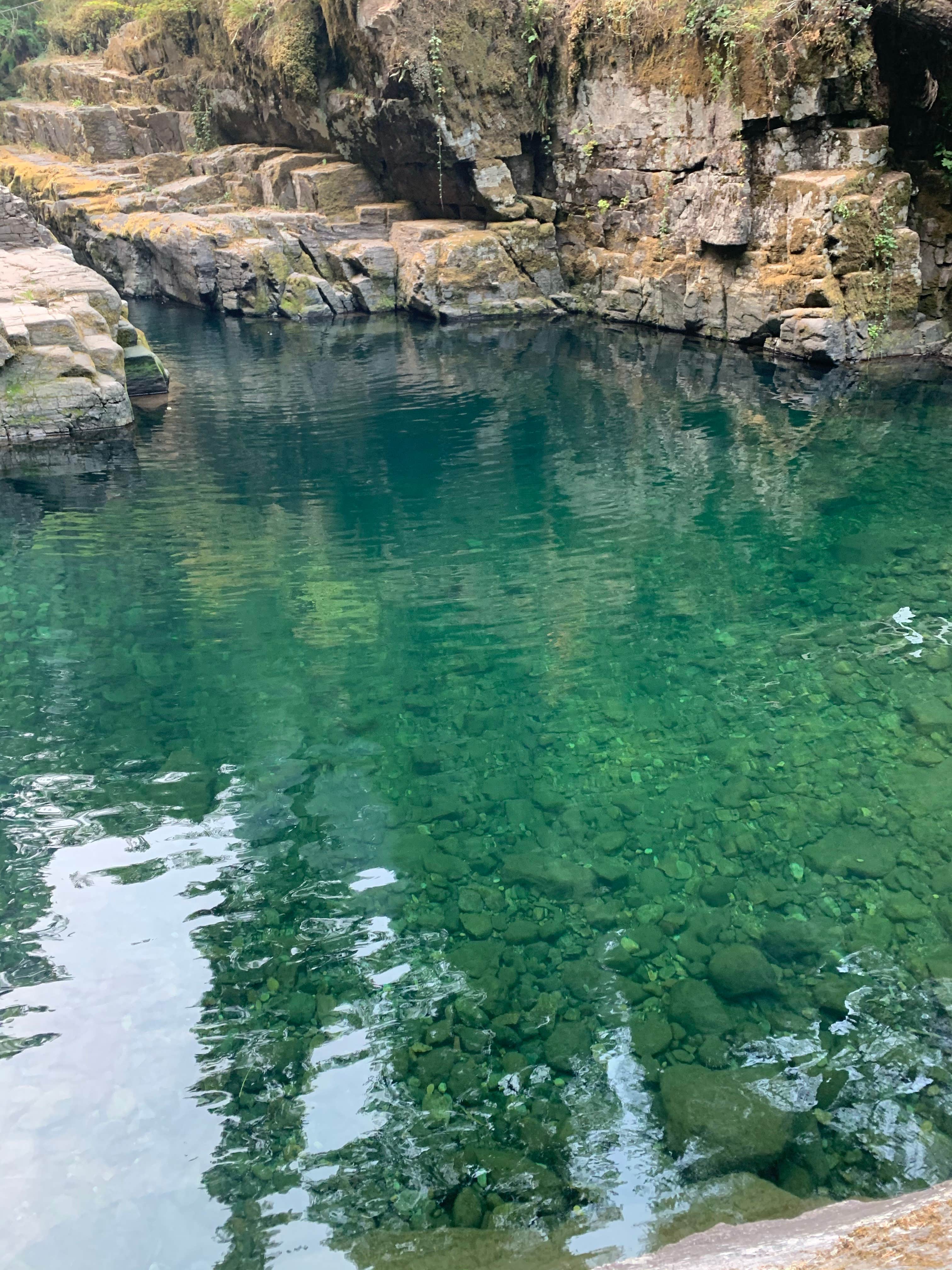 Camper submitted image from Cedar Creek Campground - 5