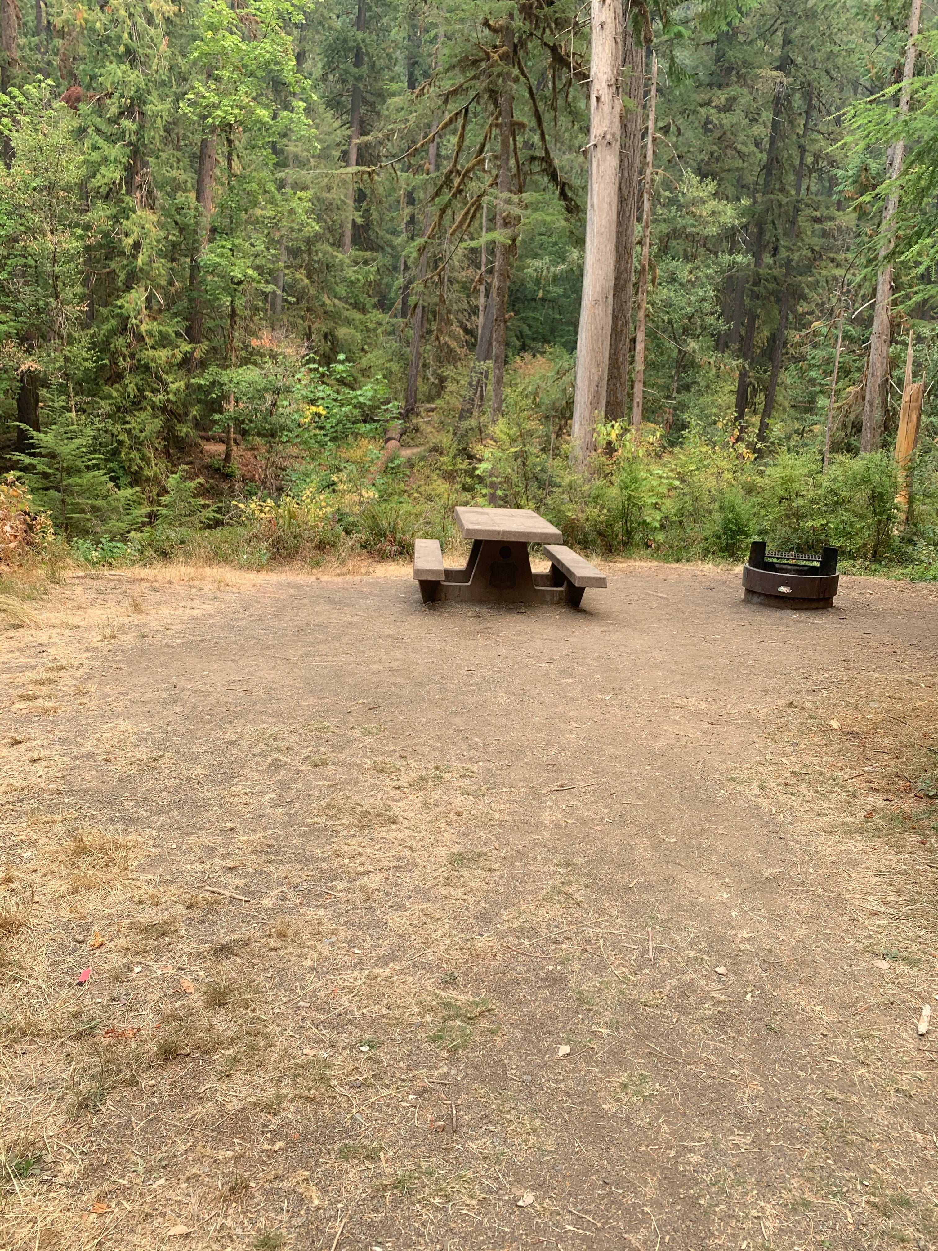 Camper submitted image from Cedar Creek Campground - 4