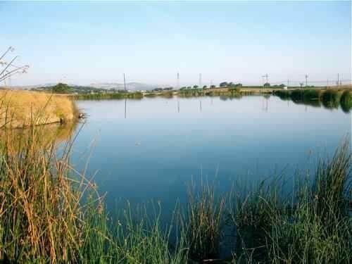 Camper-submitted photo at Franklin Hot Springs near San Miguel, CA