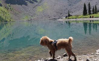 Josh's photo of camping with pets at Blue Lake Dispersed Camping- CLOSED near Ridgway, CO