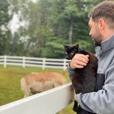 Review photo of Heritage Farm Alpaca Experience by Nomad Nurse Z , September 10, 2021