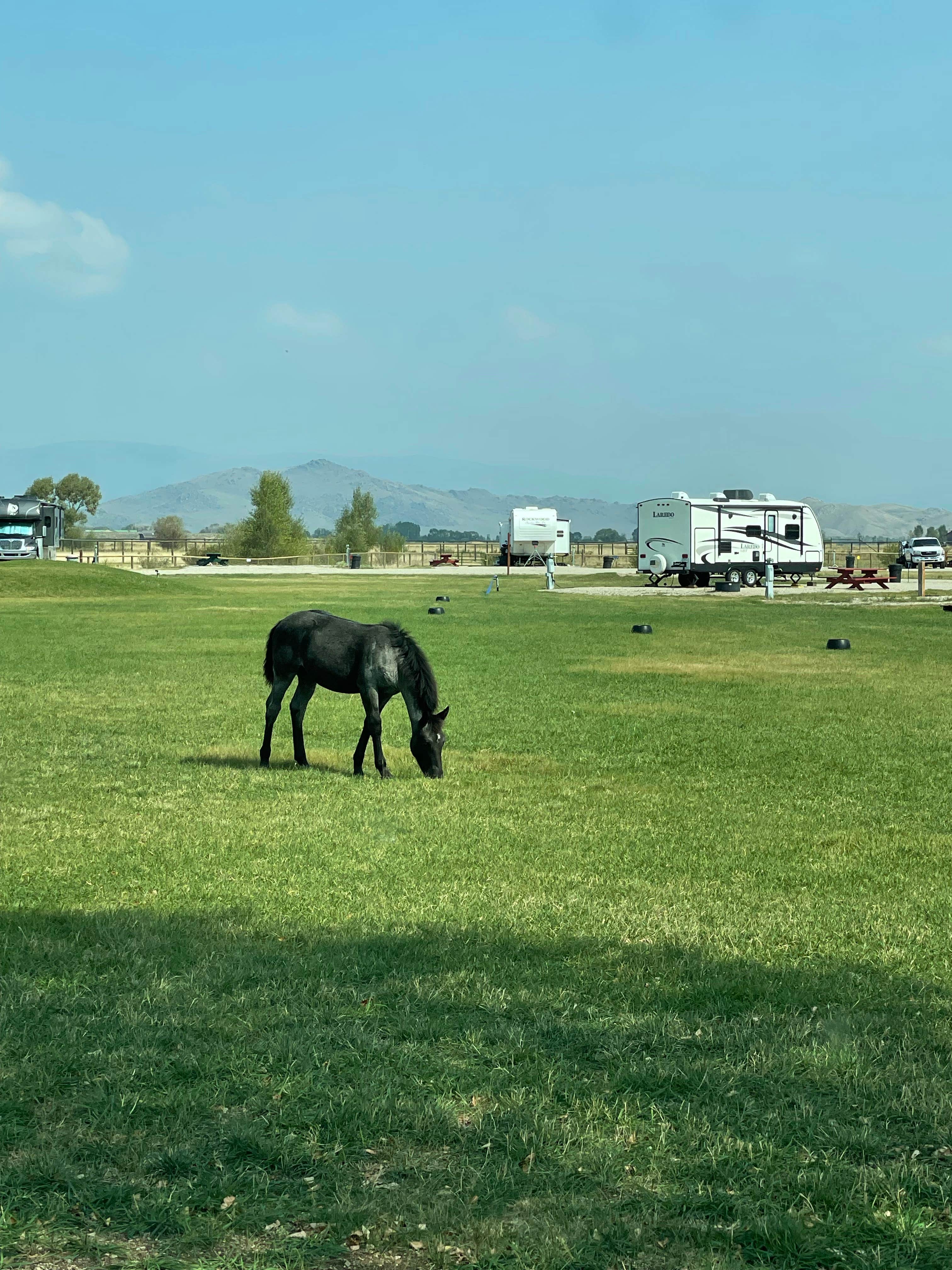 Camper submitted image from Highline Trail RV Park - 4