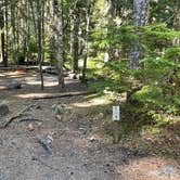 Review photo of Cougar Rock Campground — Mount Rainier National Park by Clifford F., September 10, 2021