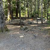 Review photo of Cougar Rock Campground — Mount Rainier National Park by Clifford F., September 10, 2021