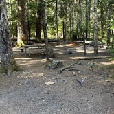 Review photo of Cougar Rock Campground — Mount Rainier National Park by Clifford F., September 10, 2021