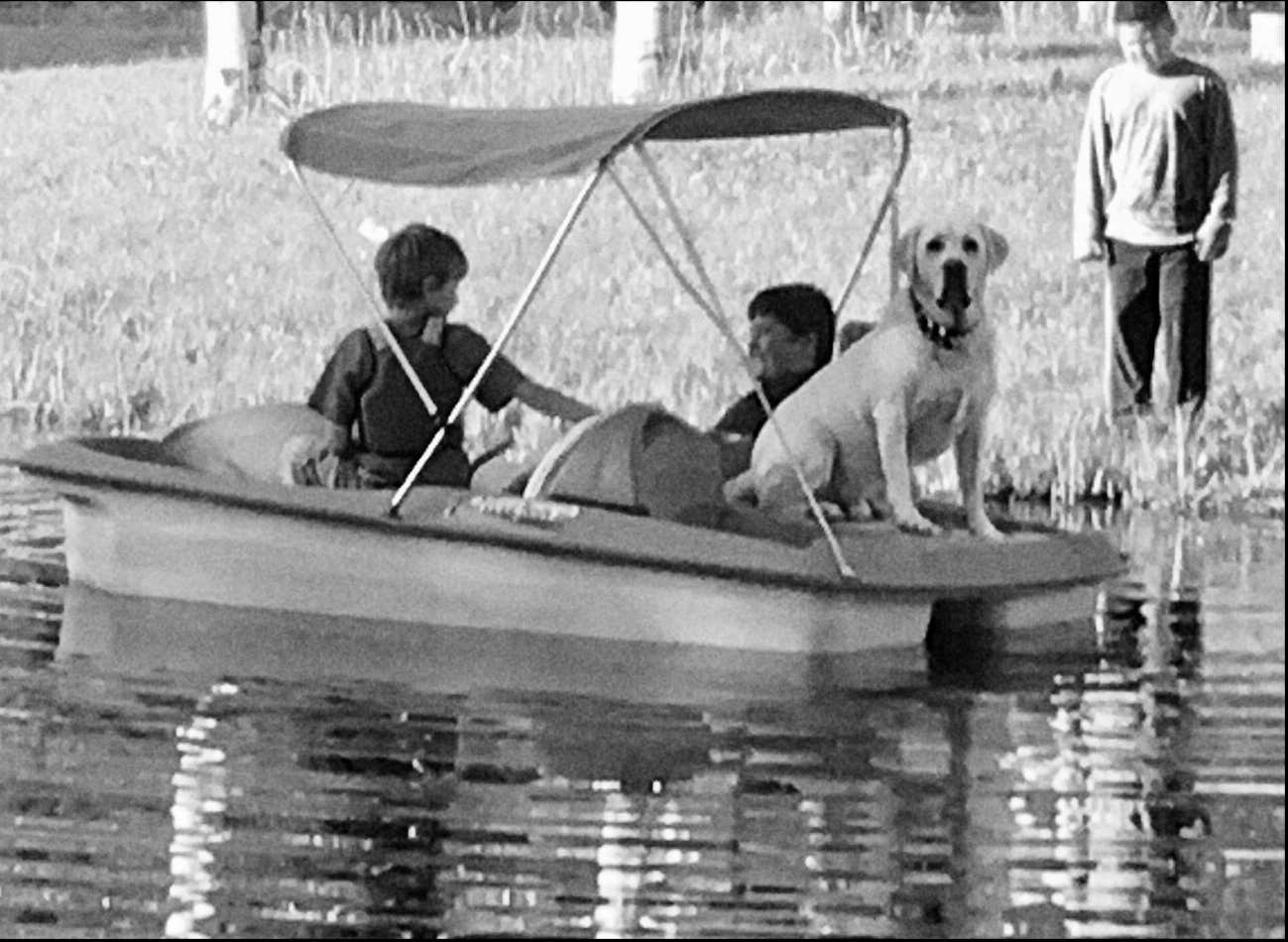 Camper-submitted photo at Aspen Grove Inn at Heise Bridge near Rexburg, ID