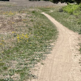 Single track in the open prairie
