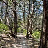 Review photo of Erwin Park by James_TrueZoneCoaching , September 10, 2021