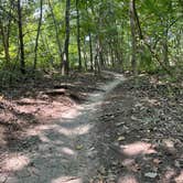 Review photo of Erwin Park by James_TrueZoneCoaching , September 10, 2021