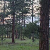 Review photo of Colorado Campground by Curtis , September 10, 2021