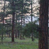 Review photo of Colorado Campground by Curtis , September 10, 2021