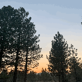 Review photo of Chuchupate Campground by Carlos G., September 10, 2021