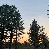 Review photo of Chuchupate Campground by Carlos G., September 10, 2021