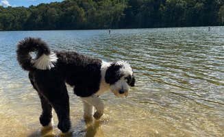 Heather M.'s photo of camping with pets at Twin Valley Campground — Governor Dodge State Park near Mazomanie, WI