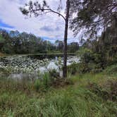 Review photo of Cypress Creek Preserve by Curtis D., September 10, 2021