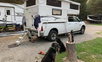Jennifer's photo of camping with pets at Whitefish RV Park near Kalispell, MT
