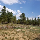 Review photo of Tom Best Spring Road FR117 Dispersed - Dixie National Forest by Chuck N., September 10, 2021