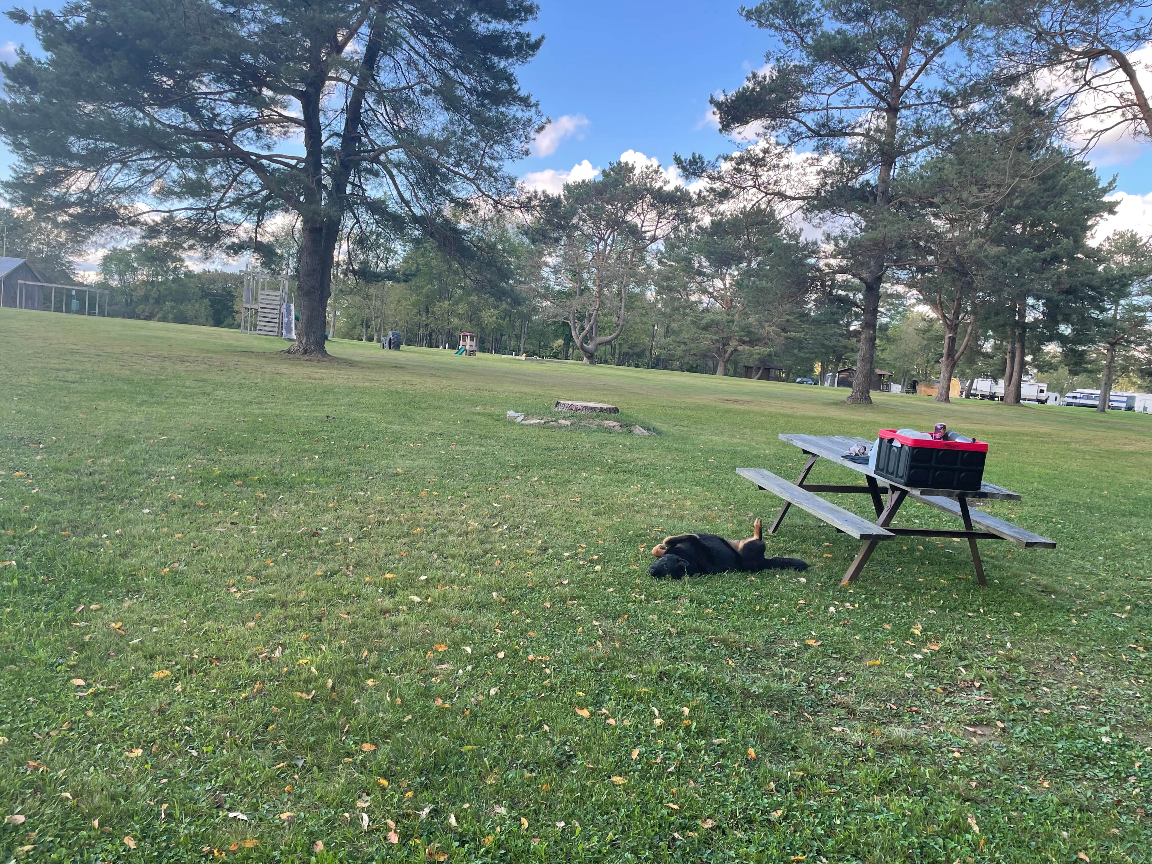 Camper-submitted photo at High Pines RV Park near Marienville, PA