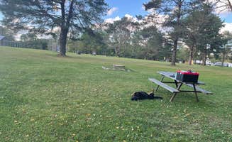 Tammy Rae S.'s photo of camping with pets at High Pines RV Park near Shinglehouse, PA