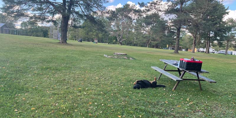 Camper submitted image from High Pines RV Park