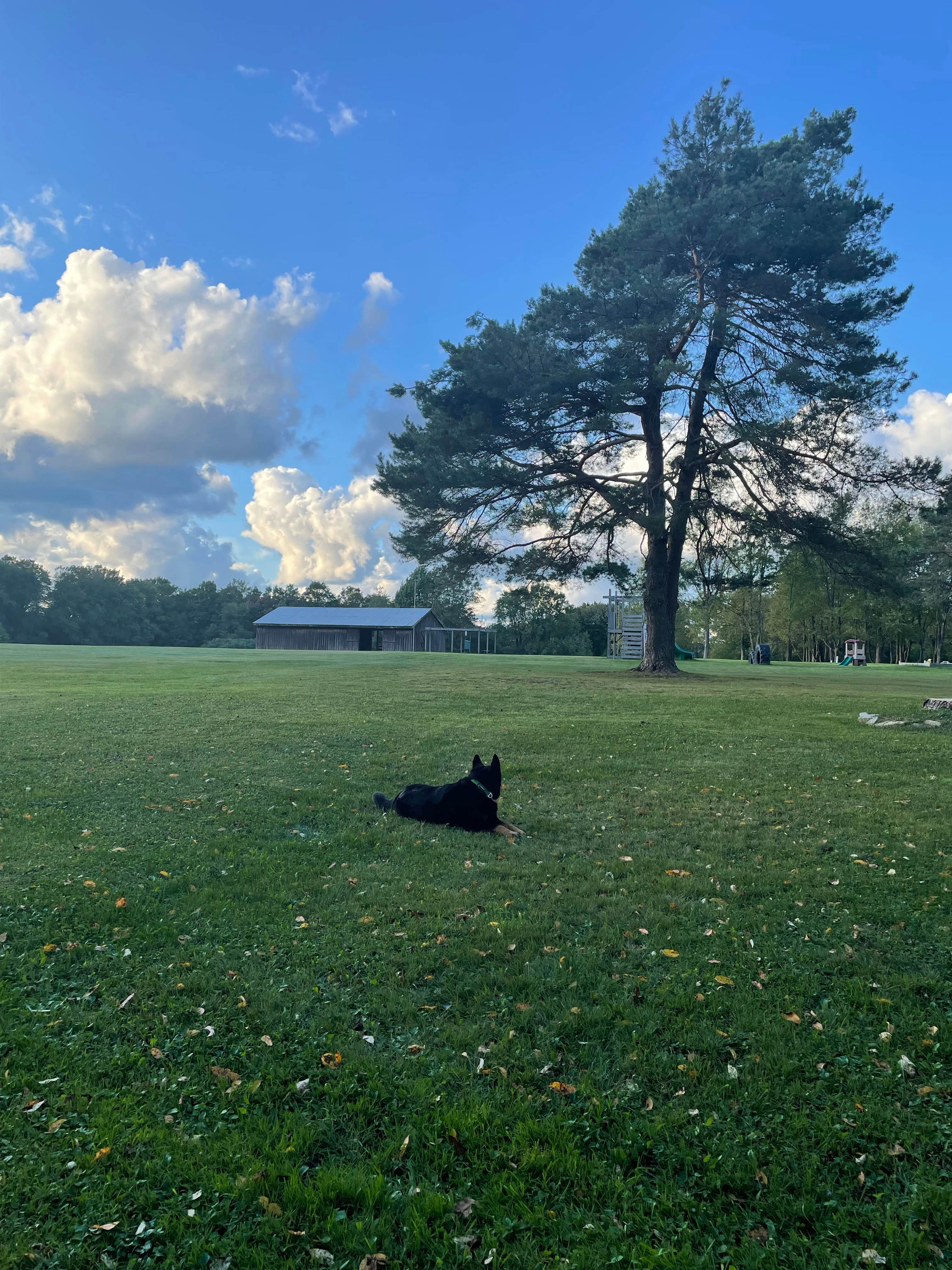 Camper-submitted photo at High Pines RV Park near Marienville, PA